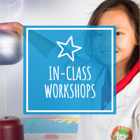 In class workshops by Nutty Scientists