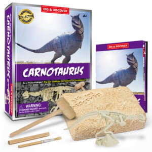 Carnotaurus Dig Kit box with contents