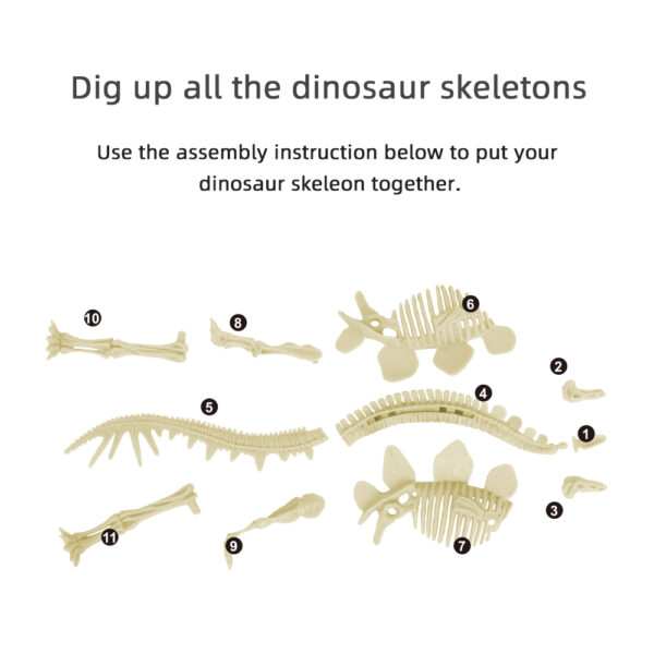 Stegosaurus Dig Kit skeleton parts for assembly