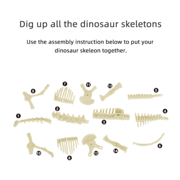 Diplodocus Dig Kit skeleton parts for assembly
