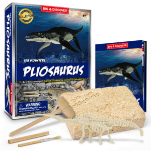 Pliosaurus Dig Kit box with contents