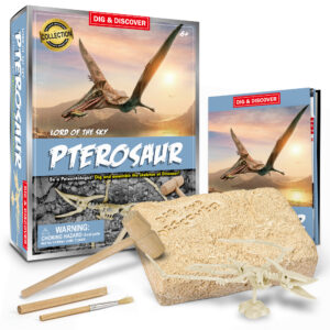 Pterosaur Dig Kit box with contents