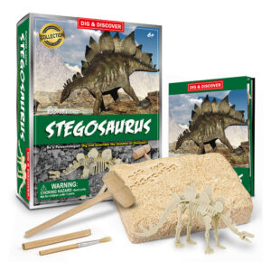 Stegosaurus Dig Kit box with contents