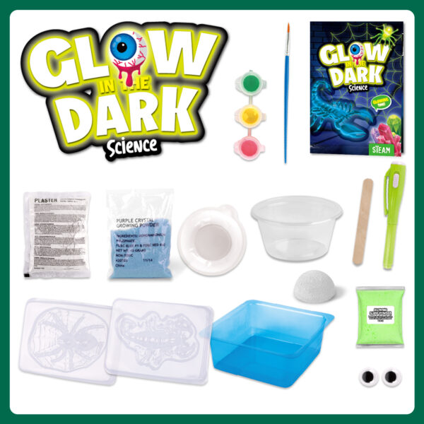 Glow in the Dark Science Kit contents