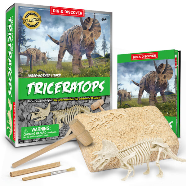 Triceratops Dig Kit box with contents