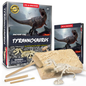 Tyrannosaurus Dig Kit Box with instructions and content