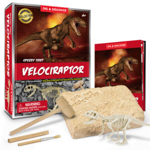 Velociraptor Dig Kit box with contents