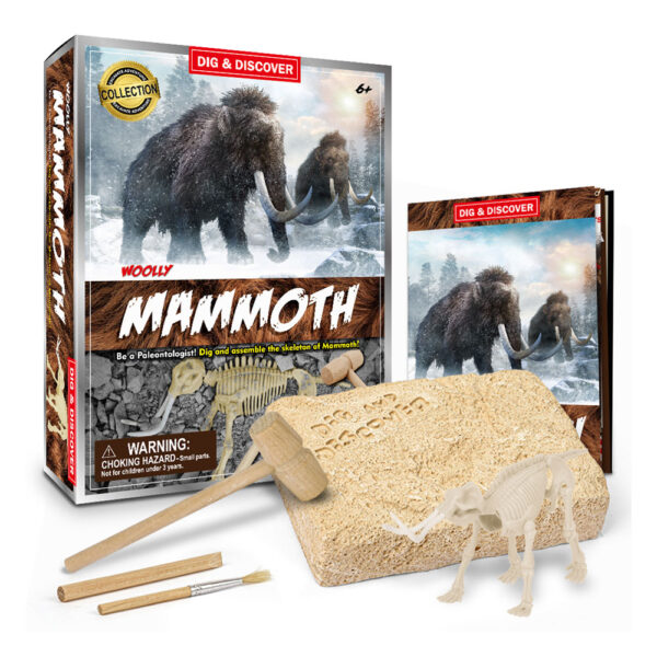 Wooly Mammoth Dig Kit box with contents