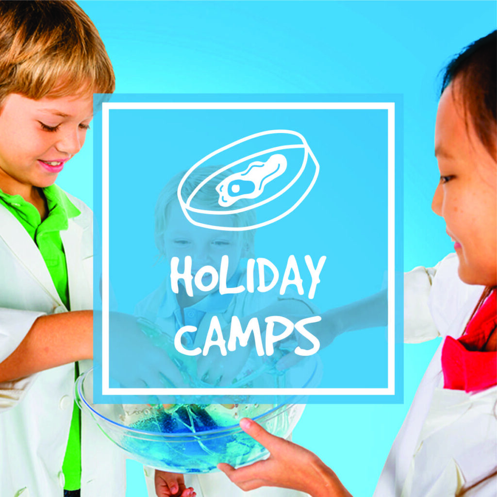 Nutty Scientists Holiday Camps